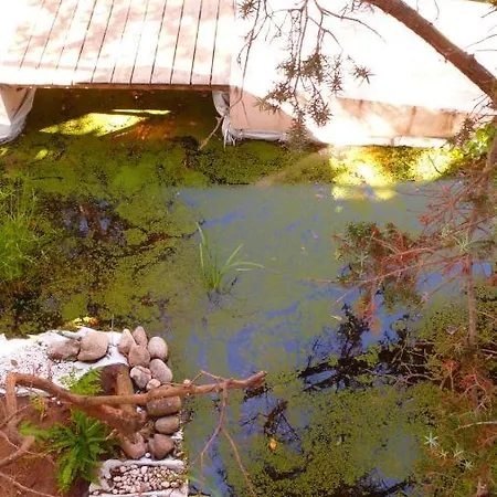 Affittacamere Le Del Giardinetto Santa Teresa di Gallura